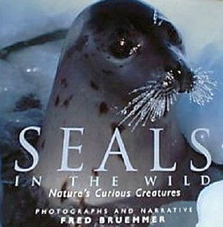 Seals in the Wild: Nature's Curious Creatures (Hardcover)