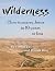 Wilderness: How to Marry Jesus in 10 Years or Less