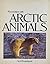 Encounters with Arctic animals