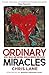 Ordinary Miracles: Mess, Me...