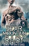 Bear Mountain Baby (Bear Mountain Shifters, #2)