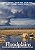 Floodplains: Processes and ...