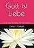 Gott ist Liebe by James Padgett