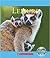Lemurs (Nature's Children)