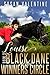 Louise - Black Dane - In The Winners Circle - Book 3 by Susan Valentine