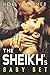 The Sheikh's Baby Bet (Desert Princes, #3)