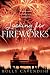 Looking for Fireworks