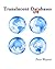 Translucent Databases Lite: Confusion, Misdirection, Randomness, Sharing, Authentication And Steganography To Defend Privacy