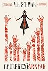 Gyülekező árnyak by V.E. Schwab