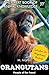 Orangutans: People of the F...