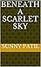 Beneath a scarlet sky by Sunny Patil