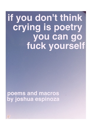 If You Dont Think Crying Is Poetry You Can Go Fuck Yourself (ebook)