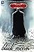 Batman: The Black Mirror (B...
