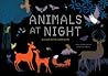 Animals at Night by Anne Jankeliowitch