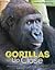 Gorillas Up Close