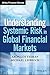 Understanding Systemic Risk in Global Financial Markets by Aron Gottesman