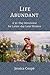 Life Abundant a 30 day devotional for Latter-day Saint Women