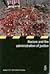 Racism and the Administration of Justice by Amnesty International