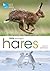 RSPB Spotlight Hares