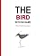 The Bird With No Name by Duncan Ferguson