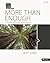 More Than Enough: How Jesus Meets Our Deepest Needs - Bible Study Book