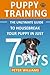 Puppy Training: The Ultimat...