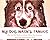 My Dog Wasn't Famous: But L...