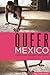 Queer Mexico: Cinema and Television Since 2000 (Queer Screens Series)