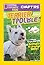 Terrier Trouble! (National Geographic Kids Chapters)
