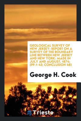 Geological Survey of New Jersey: Report on a Survey of the Boundary Line Between New Jersey and New York: Made in July and August, 1874; (pp.1-43; conclusion 48)