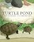 Turtle Pond