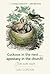Cuckoos in the nest...apostasy in the church by Sam Gordon