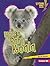 Meet a Baby Koala