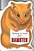 Getting to Know Your Hamster