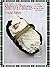 Crochet Pattern - CP315 - c...