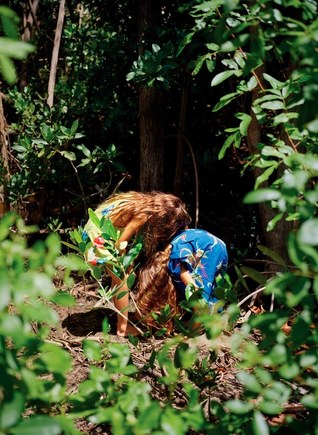 Dogs Go Wolf (ebook)