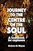 Journey to the Centre of th...
