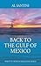 Back to the Gulf of Mexico:...