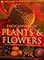 Encyclopedia of Plants and ...
