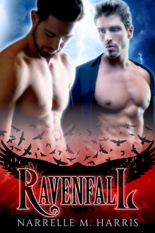 Ravenfall (Paperback)