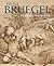 Pieter Bruegel: Drawing the World