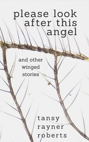 Please Look After This Angel, and Other Winged Stories (ebook)