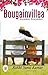 Bougainvillea - Anywhere, E...