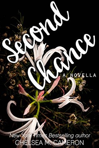 Second Chance (Violet Hill, #3)