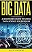 Big Data: A Beginner's Guid...