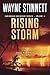 Rising Storm by Wayne Stinnett