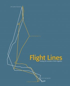 Flight Lines: Tracking the Wonders of Bird Migration (Hardcover)