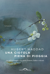Una ciotola piena di pioggia (Paperback)
