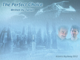 The Perfect Choice (Online Fanfiction)