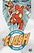 The Flash: The Silver Age V...